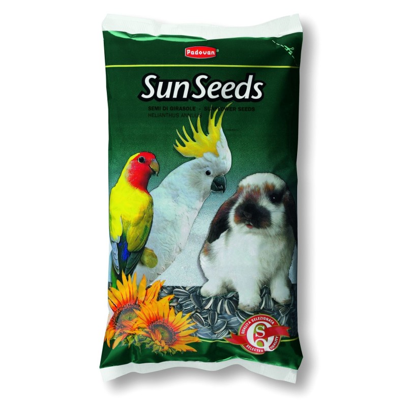 GIRASOLE MEDIO GR.500