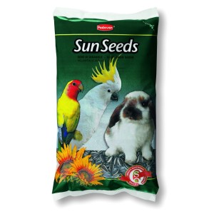 GIRASOLE MEDIO GR.500