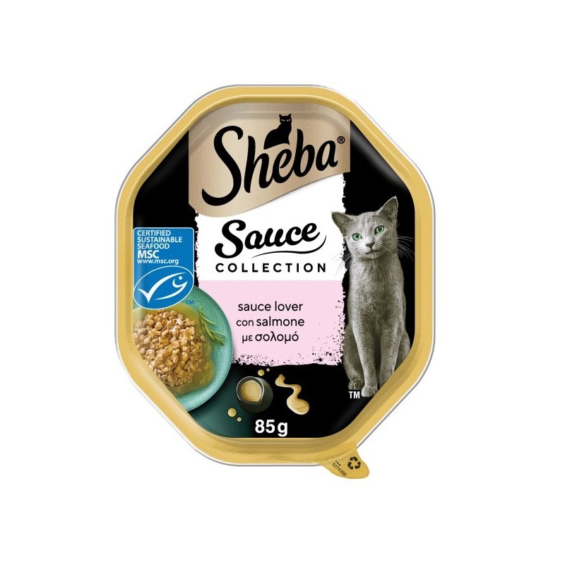 SHEBA VASCHETTA GR.85 sauce collection SALMONE 