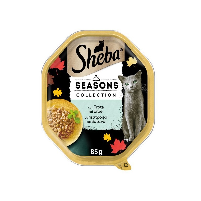 SHEBA VASCHETTA GR.85 seasons collection TROTA ERBE 