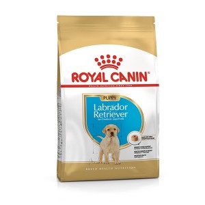 ROYAL CANIN LABRADOR RETRIEVER PUPPY KG. 3