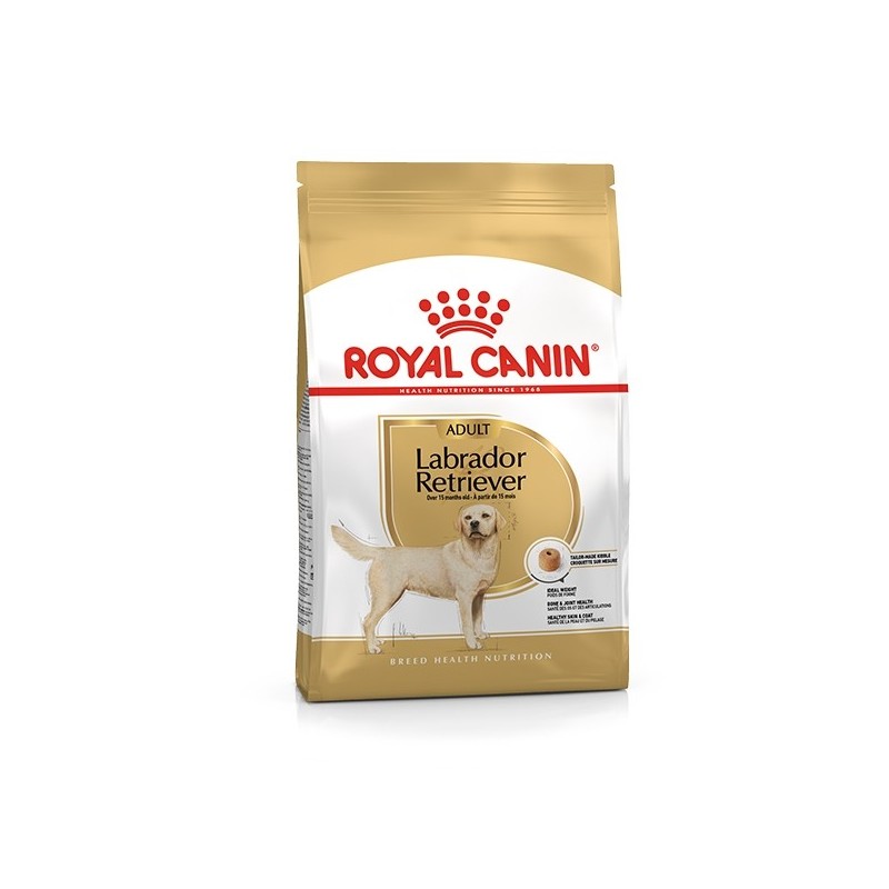 ROYAL CANIN LABRADOR RETRIEVER  ADULT KG.12