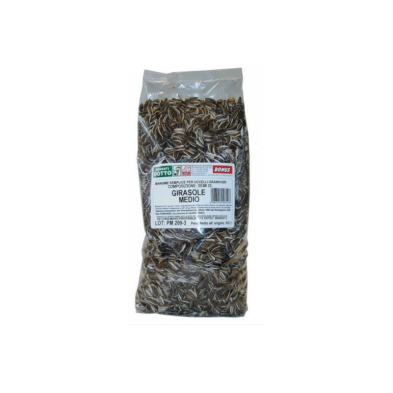 GIRASOLE MEDIO KG.1