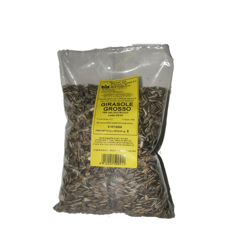 GIRASOLE MEDIO KG.5