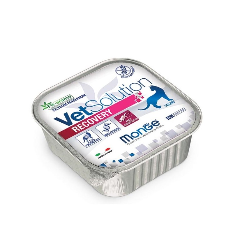 MONGE VETSOLUTION GATTO RECOVERY GR.100