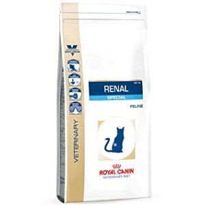 ROYAL CANIN RENAL SPECIAL GR.400 GATTO