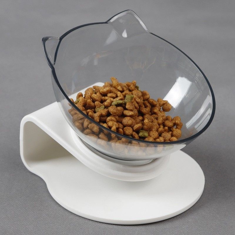 CIOTOLA GATTO RIALZATA