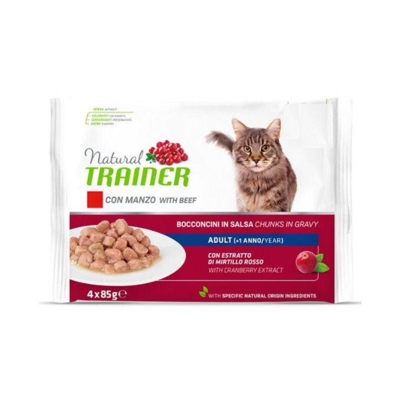 TRAINER BUSTA GR 85 ADULT MANZO X4 PEZZI 