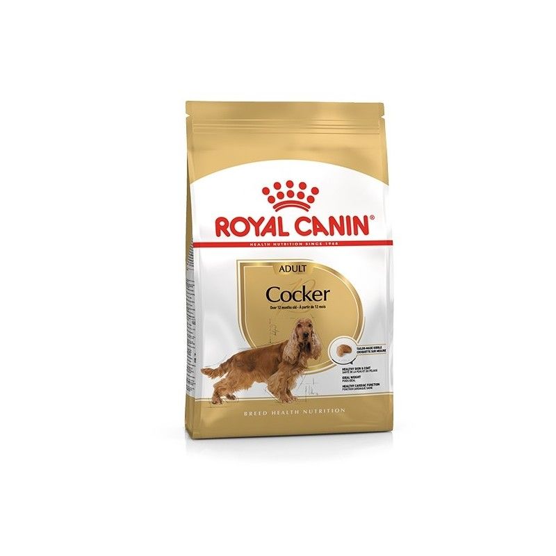 ROYAL CANIN COCKER  KG.12
