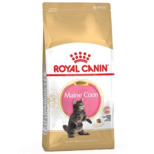ROYAL CANIN KITTEN MAIN COON GR. 400