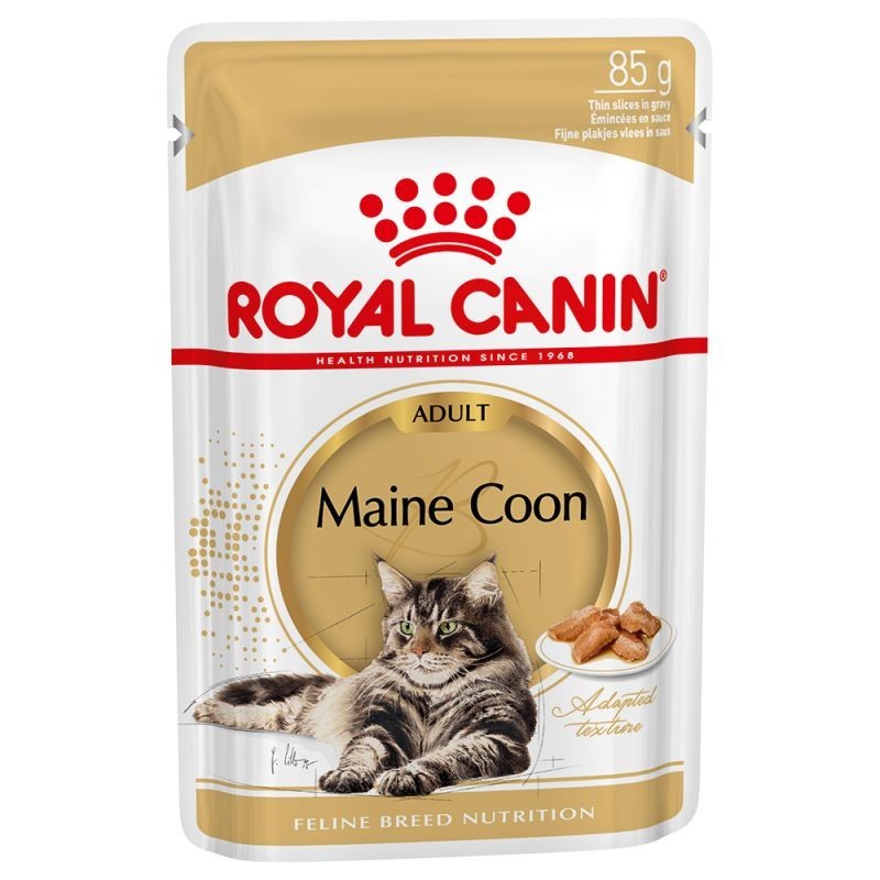 ROYAL CANIN MAIN COON GR. 85