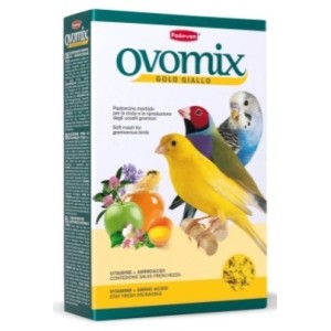 PASTONCINO GIALLO GR.300