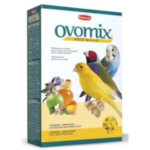 PASTONCINO GIALLO KG.1