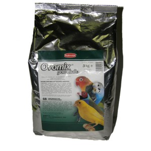 PASTONCINO GIALLO KG.3