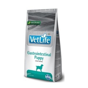 VETLIFE DOG GASTROINTESTINAL PUPPY KG. 2