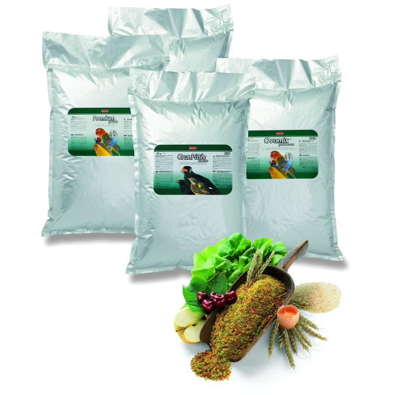 PASTONCINO GIALLO KG.25