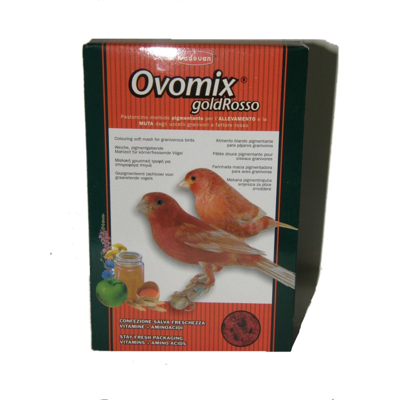 PASTONCINO ROSSO KG.1