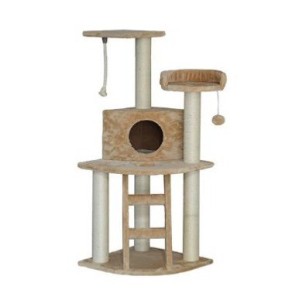 REX TIRAGRAFFI EDIMBURGO