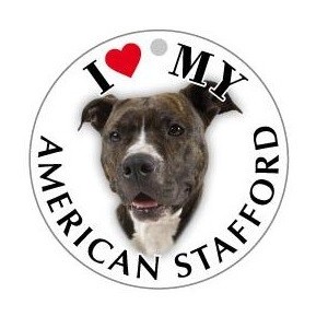 AMERICAN_STAFFORD - TONDA ( Dim. 30x30 )