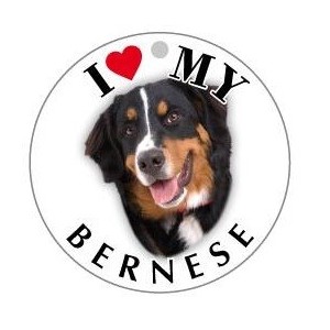 BERNESE_ADULTO - TONDA ( Dim. 30X30 )