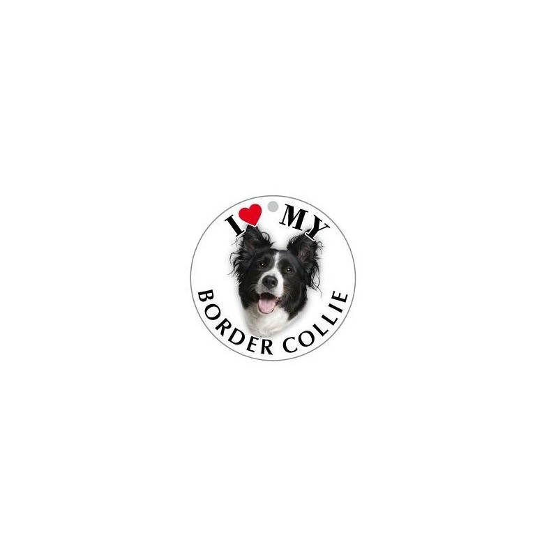 BORDERCOLLIE - TONDA ( Dim. 30X30 )