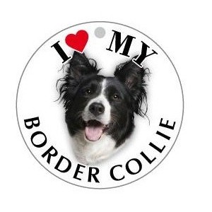 BORDERCOLLIE - TONDA ( Dim. 30X30 )