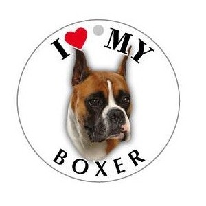 BOXER_ORECCHIE_PUNTA - TONDA ( Dim. 30x30 )