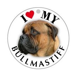 BULLMASTIFF - TONDA ( Dim. 30x30 )