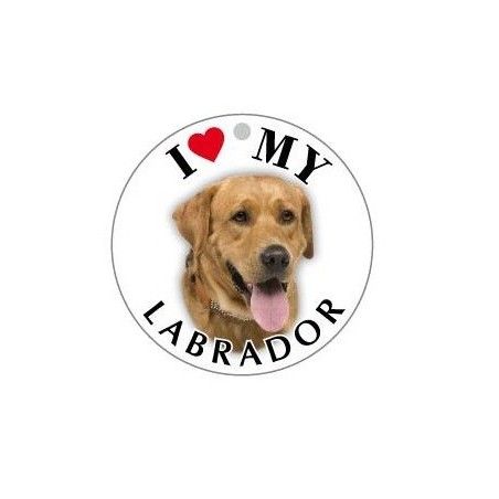LABRADOR_BIONDO - TONDA ( Dim. 30x30 )