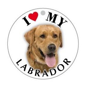 LABRADOR_BIONDO - TONDA ( Dim. 30x30 )