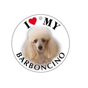 BARBONCINO ALBICOCCA - TONDA ( Dim. 25x25 )