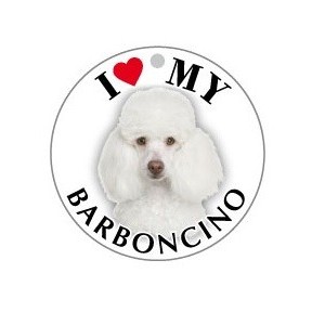 BARBONCINO BIANCO - TONDA ( Dim. 25x25 )