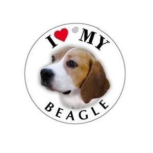 BEAGLE - TONDA ( Dim. 25x25 )