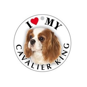 CAVALIER_KING - TONDA ( Dim. 25x25 )