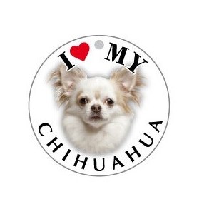 CHIHUAHUA_PELO_LUNGO - TONDA ( Dim. 25x25 )