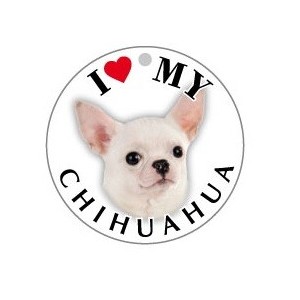 CHIHUAHUA_BIANCO - TONDA ( Dim. 25x25 )