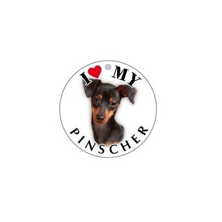 PINSCHER - TONDA ( Dim. 25x25 )