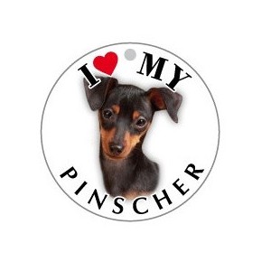 PINSCHER - TONDA ( Dim. 25x25 )