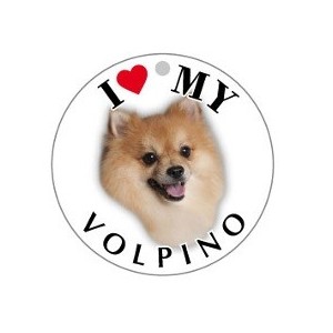 VOLPINO - TONDA ( Dim. 25x25 )