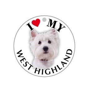 WEST HIGHLAND - TONDA ( Dim. 25x25 )
