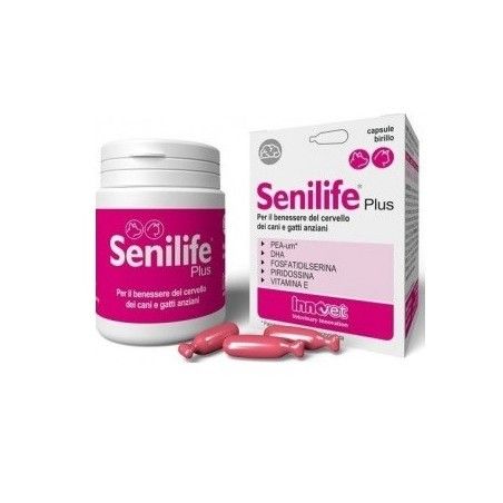SENILIFE 60 BIRILLI