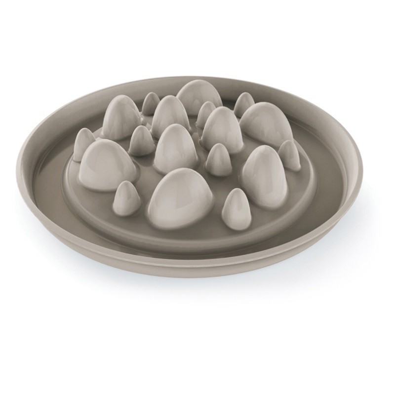 CIOTOLA SLOW FOOD CACTUS