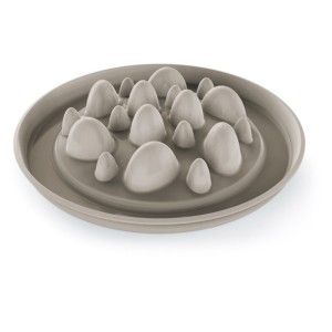 CIOTOLA SLOW FOOD CACTUS