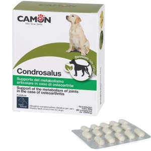 CAMON CONDROSALUS 30 COMPRESSE