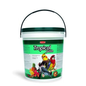 PASTONCINO TROPICAL KG.5