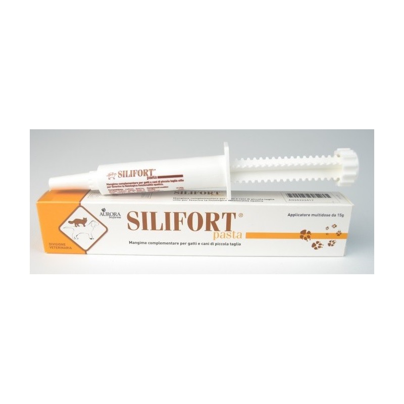 SILIFORT PASTA 15 GR
