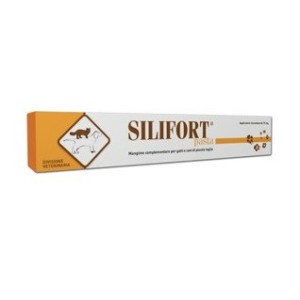 SILIFORT PASTA 30 GR