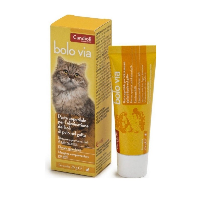 CANDIOLI  BOLO VIA PASTA GR. 100