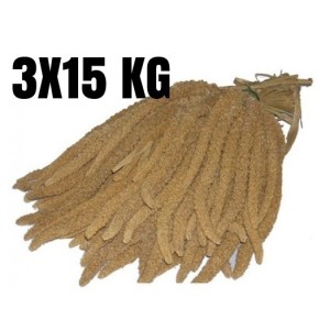 SPIGHE DI PANICO KG 15 *** 3 CARTONI**** 