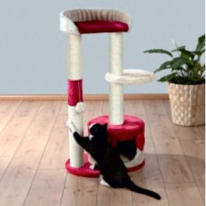 REX TIRAGRAFFI SOFIA 